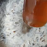 Jual Madu Asli Murni Madu Hutan Madu Klanceng wilayah Bukit Duri Tebet Jakarta Selatan 08954-2233-1922