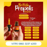 Jual British Propolish -british Propolis Paket Di Bintan Kepulauan Riau Hub Wa 088-2323-76200