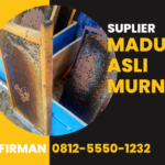 Firman Hubungi: 0812-5550-1232 Supplier Madu Murni Bengkulu Tengah Bengkulu