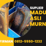 Firman Kontak: 0812-5550-1232 Distributor Madu Murni Bireuen Nanggroe Aceh Darussalam (nad)