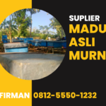 Firman Wa 0812-5550-1232 Supplier Madu Asli Murni Majene Sulawesi Barat