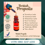 Beli British Propolis Resmi Imunitas -british Propolish Di Lebong Bengkulu Hubungi Wa 088-2323-76200