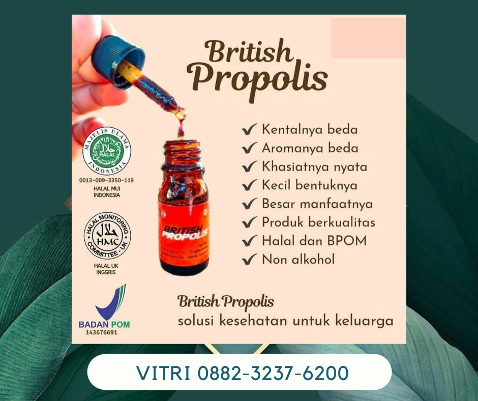 Promo British Propolis Original -british Propolis Resmi Imunitas Di Kolaka Timur Sulawesi Tenggara Kontak Wa 088 2323 76200