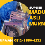 Firman Hp 0812 5550 1232 Supplier Madu Murni Metro Lampung