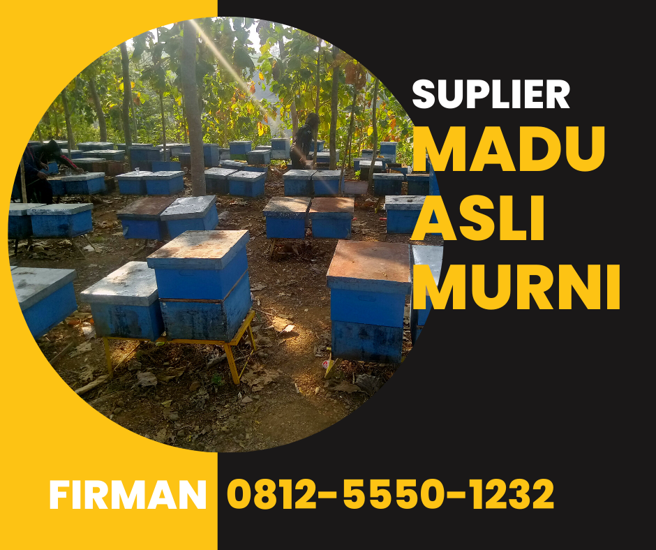 Firman Hp: 0812-5550-1232 Supplier Madu Murni Deiyai Papua