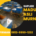 Bpk.firman Wa 0812-5550-1232 Distributor Madu Murni Asli Puncak Papua