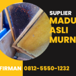 Firman Wa: 0812 5550 1232 Supplier Madu Murni Asli Sambas Kalimantan Barat