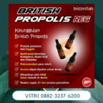 Distributor British Propolis Ippho Original -british Propolis Kids Di Padang Lawas Sumatera Utara Hub Hp: 088 2323 76200