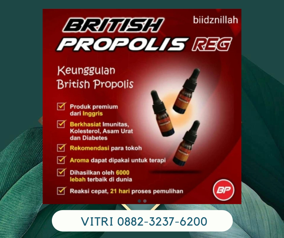 Suplier British Propolis 088-2323-76200