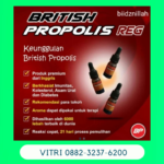 Distributor British Propolis Reguler -british Propolis Resmi Imunitas Di Buru Selatan Maluku Wa 088 2323 76200
