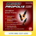 Jual British Propolis Resmi Imunitas -british Propolis Reguler Di Serang Banten Hub Hp 088 2323 76200