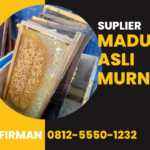 Bp. Firman Wa: 0812-5550-1232 Supplier Madu Asli Murni Bengkulu Bengkulu