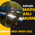 Bpk. Firman Hp 0812-5550-1232 Supplier Madu Asli Polewali Mandar Sulawesi Barat