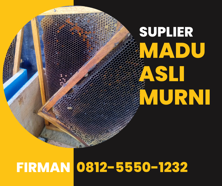 Firman Hp 0812 5550 1232 Supplier Madu Asli Soppeng Sulawesi Selatan