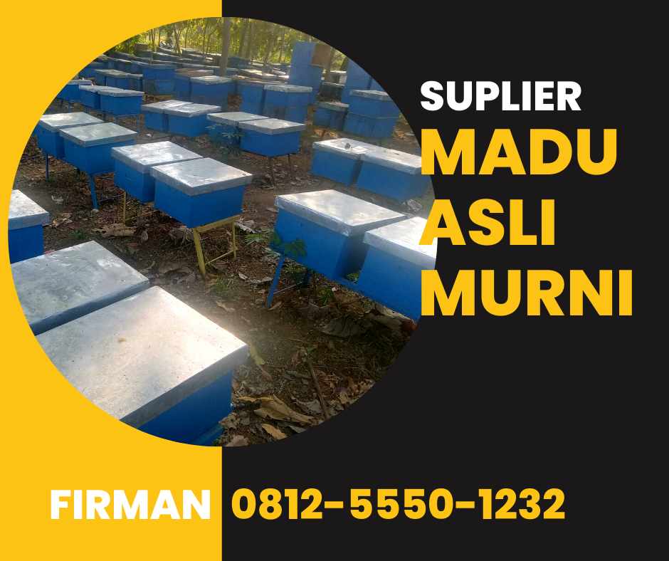 Suplier Madu Asli Murni Indonesia 0812 5550 1232