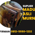Firman Wa 0812 5550 1232 Supplier Madu Murni Asli Lima Puluh Kota Sumatera Barat