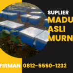 Bpk. Firman Hub: 0812 5550 1232 Supplier Madu Murni Asli Flores Timur Nusa Tenggara Timur (ntt)