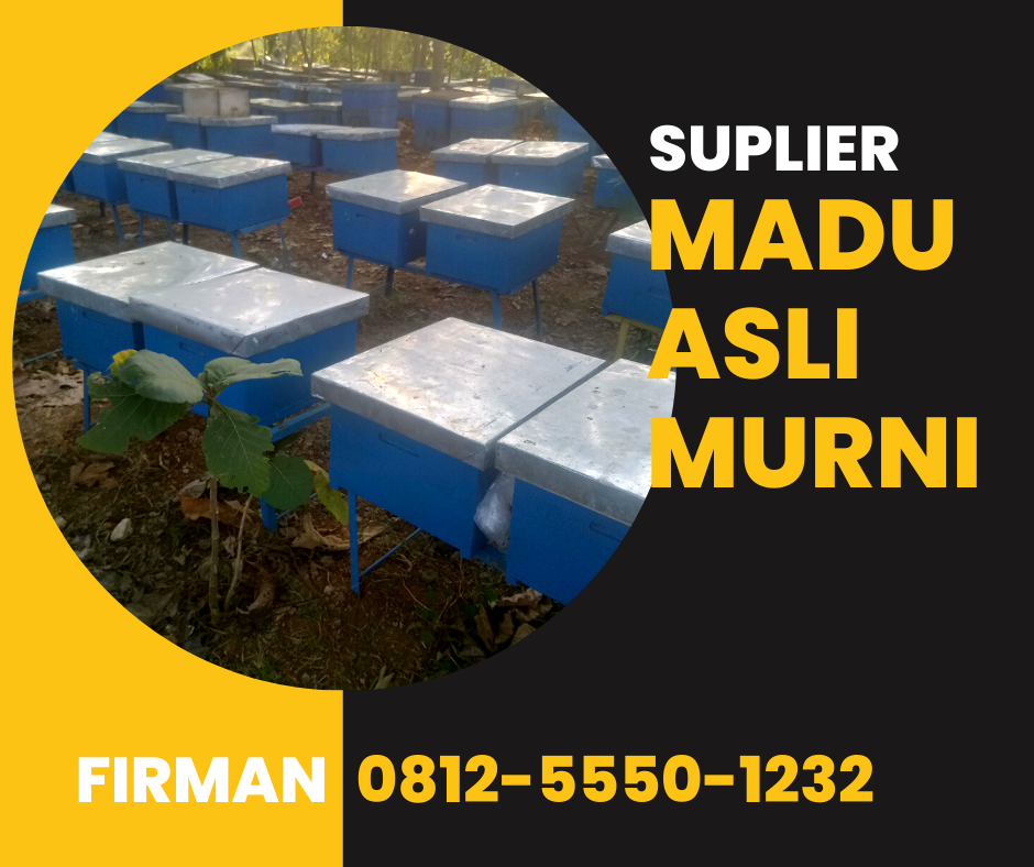 Suplier Madu Asli Murni Indonesia 0812 5550 1232
