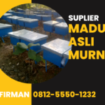 Bp. Firman Hp 0812 5550 1232 Supplier Madu Murni Tanjung Pinang Kepulauan Riau