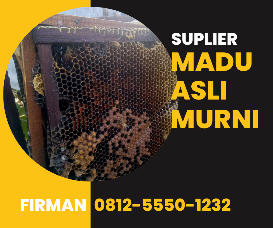 Bpk. Firman Hubungi: 0812-5550-1232 Distributor Madu Murni Asli Aceh Singkil Nanggroe Aceh Darussalam (nad)