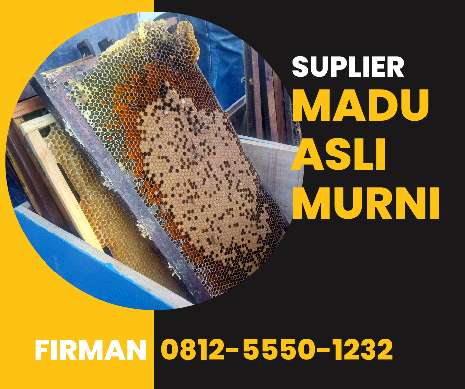 Firman Kontak: 0812 5550 1232 Supplier Madu Murni Halmahera Barat Maluku Utara