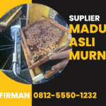 Bpk. Firman Hub: 0812 5550 1232 Supplier Madu Murni Palembang Sumatera Selatan