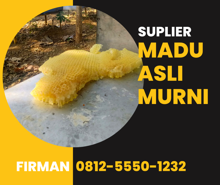 Bpk. Firman Wa: 0812-5550-1232 Supplier Madu Murni Jeneponto Sulawesi Selatan