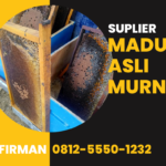 Bp. Firman Hp: 0812-5550-1232 Supplier Madu Murni Asli Rokan Hulu Riau