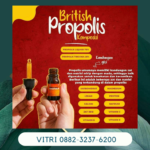 Distributor British Propolis Ippho -british Propolis Reguler Di Bulukumba Sulawesi Selatan Hub 088 2323 76200