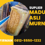 Firman Hubungi: 0812-5550-1232 Supplier Madu Murni Tapin Kalimantan Selatan