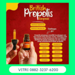 Promo British Propolish -british Propolis Original 100% Di Muna Barat Sulawesi Tenggara Wa Hp: 088-2323-76200