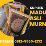 Firman Hub: 0812 5550 1232 Supplier Madu Murni Asli Palopo Sulawesi Selatan