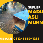 Firman Hub: 0812 5550 1232 Supplier Madu Asli Halmahera Timur Maluku Utara