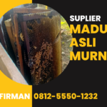 Firman Hubungi: 0812-5550-1232 Supplier Madu Murni Penukal Abab Lematang Ilir Sumatera Selatan