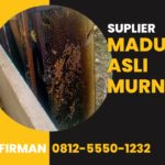 Firman Wa: 0812-5550-1232 Distributor Madu Asli Murni Buru Maluku