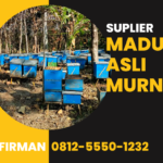 Firman Hp 0812-5550-1232 Supplier Madu Asli Seram Bagian Barat Maluku