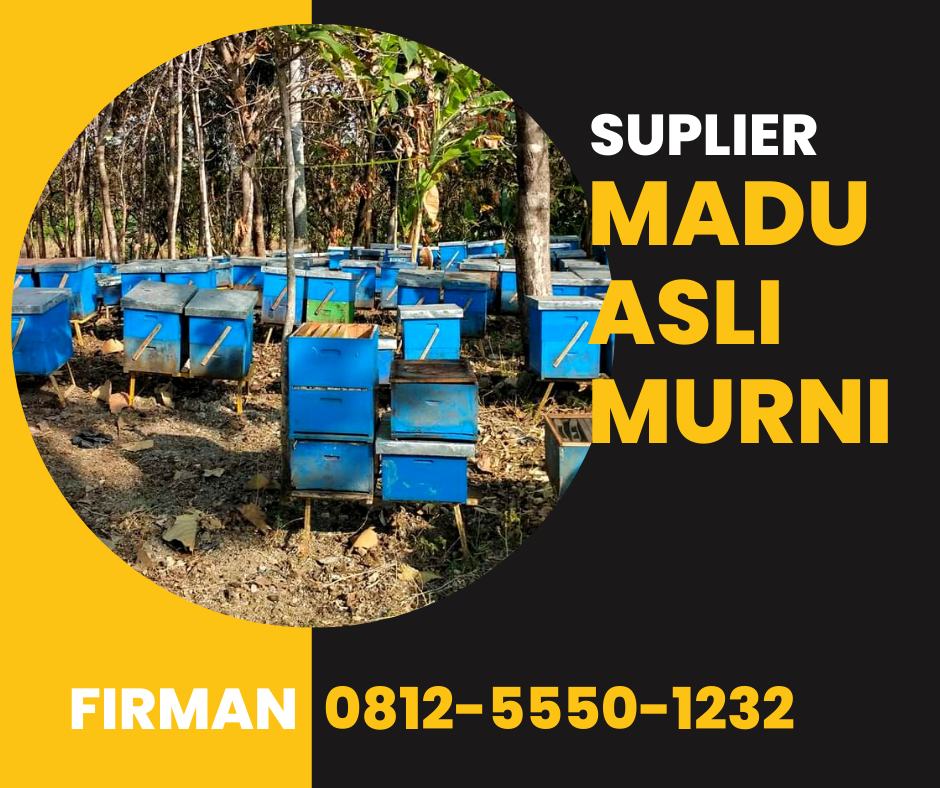 Firman Kontak: 0812 5550 1232 Supplier Madu Murni Asli Mappi Papua
