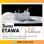 Supplier Susu Kambing Etawa Terdekat Firman Hp 0888-0606-4041 Surabaya Jawa Timur