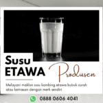 Produsen Susu Kambing Etawa Curah Bp. Firman Wa: 0888-0606-4041 Biak Numfor Papua