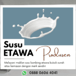 Supplier Susu Kambing Etawa Curah Bp. Firman Wa 0888 0606 4041 Malang Jawa Timur