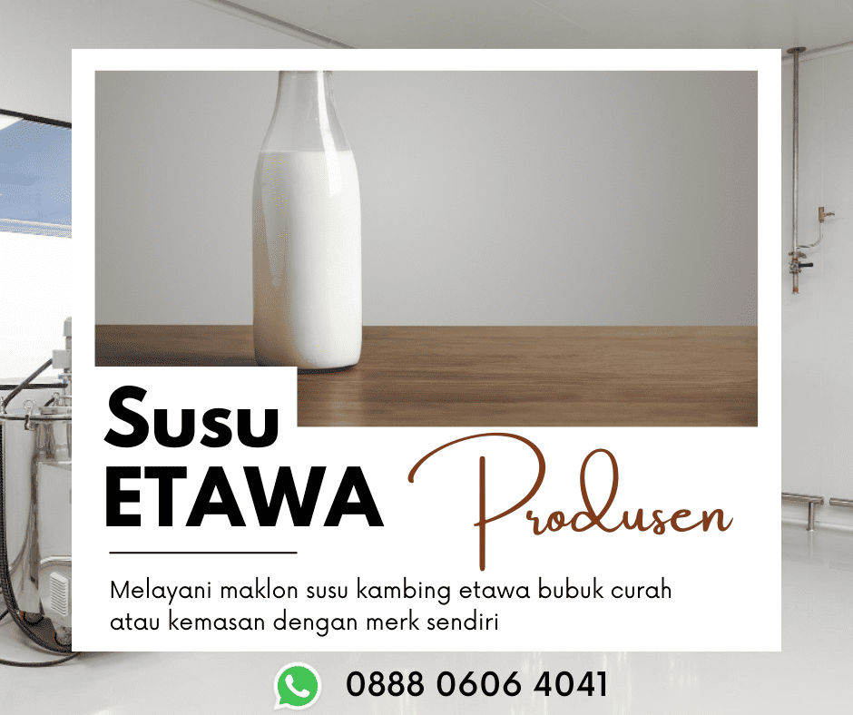 Produsen susu kambing etawa 0888 0606 4041