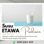 Supplier Susu Kambing Etawa Curah Bp. Firman 0888 0606 4041 Surakarta Jawa Tengah