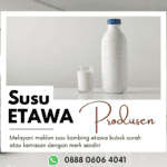 Produsen Susu Kambing Etawa Asli Bp. Firman Hp 0888 0606 4041 Minahasa Sulawesi Utara