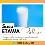 Pabrik Susu Kambing Etawa Murni Bpk. Firman Hub: 0888-0606-4041 Kotabaru Kalimantan Selatan