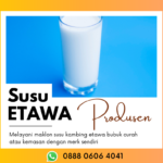 Produsen Susu Kambing Etawa Yang Bagus Bpk. Firman Hub: 0888 0606 4041 Jombang Jawa Timur