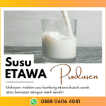 Pabrik Susu Kambing Etawa Yang Asli Firman Wa: 0888-0606-4041 Enrekang Sulawesi Selatan