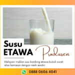 Produsen Susu Kambing Etawa Yang Asli Bpk. Firman Hub: 0888 0606 4041 Natuna Kepulauan Riau