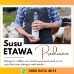 Produsen Susu Kambing Etawa Curah Firman Kontak: 0888-0606-4041 Sumbawa Nusa Tenggara Barat (ntb)