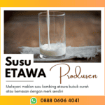 Produsen Susu Kambing Etawa Firman Wa: 0888-0606-4041 Solok Selatan Sumatera Barat