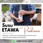 Produsen Susu Kambing Etawa Curah Bpk.firman Hp 0888-0606-4041 Halmahera Selatan Maluku Utara